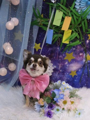 20250715ルアちゃん